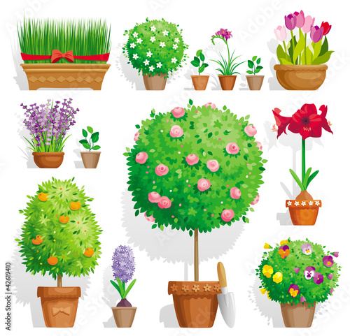 Set of pot plants