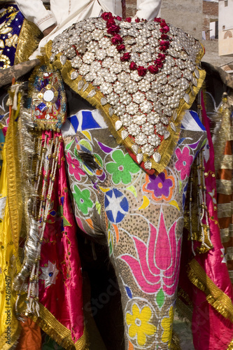colorful elephant , Holi festival , Jaipur, Rajasthan, India © N | R