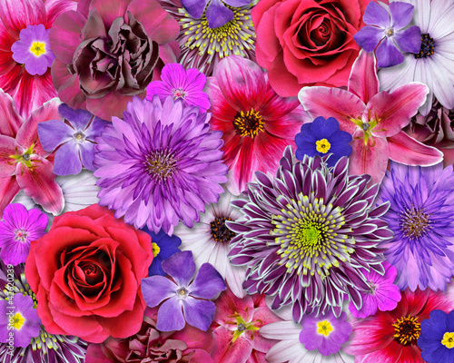Fototapeta Naklejka Na Ścianę i Meble -  Red, Pink, Purple Flower Background