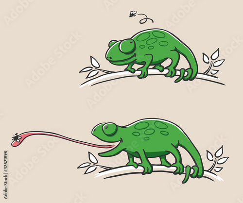 Hunting Chameleon