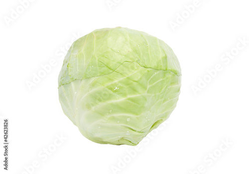 Head of green cabbage