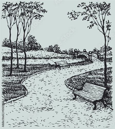 Vector landscape. Benches along the paths of park