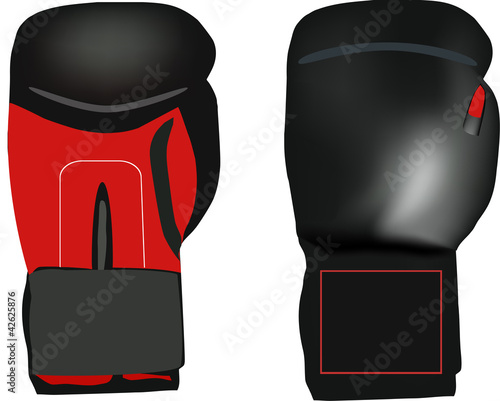 guanti da boxe