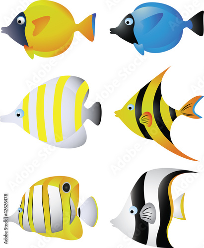 Tropical Fish Collection