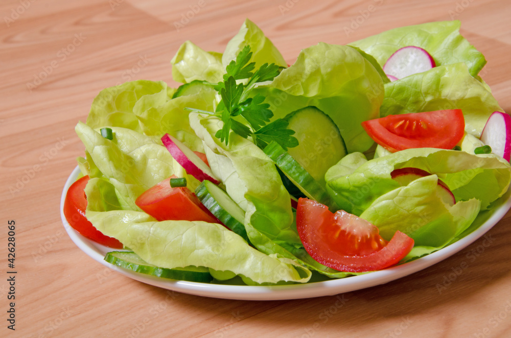 grüner Salat mit Tomaten,Gurken & Radieschen grüner Salat mit Tomaten,Gurken & Radieschen