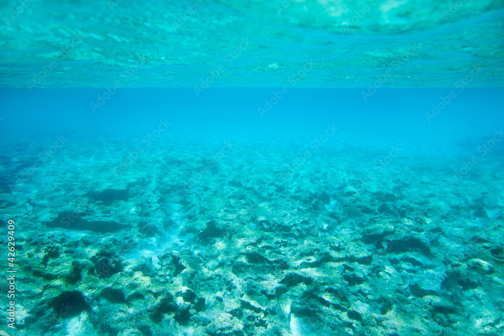 Ibiza Formentera underwater rocks in turquoise sea Ibiza Formentera underwater rocks in turquoise sea