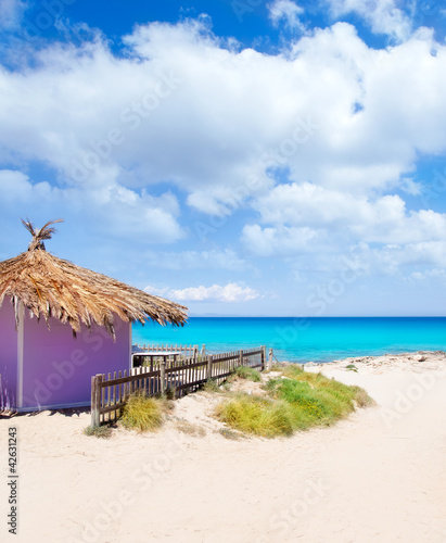 Fototapeta Naklejka Na Ścianę i Meble -  Formentera tropical purple hut on turquoise beach