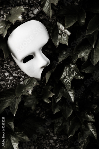 Masquerade - Phantom of the Opera Mask on Ivy Wall