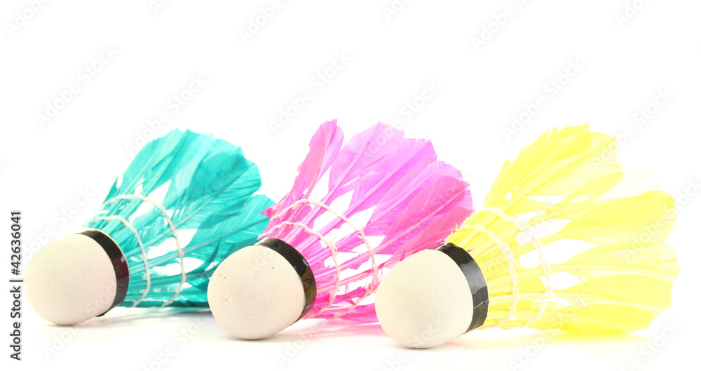 Obraz premium bright feather shuttlecocks isolated on white