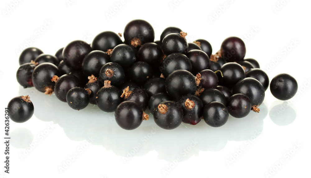 Fresh black currant isolated on white Fresh black currant isolated on white