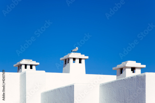 Balearic Mediterranean white houses with seagull