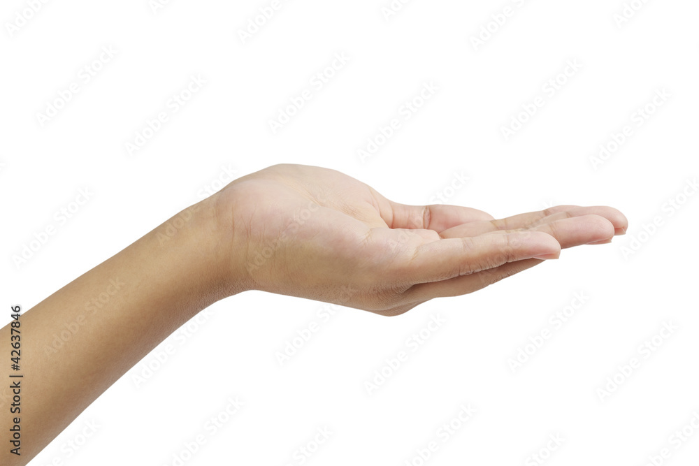 Empty hand palm showing something isolated on white background. Empty hand palm showing something isolated on white background.