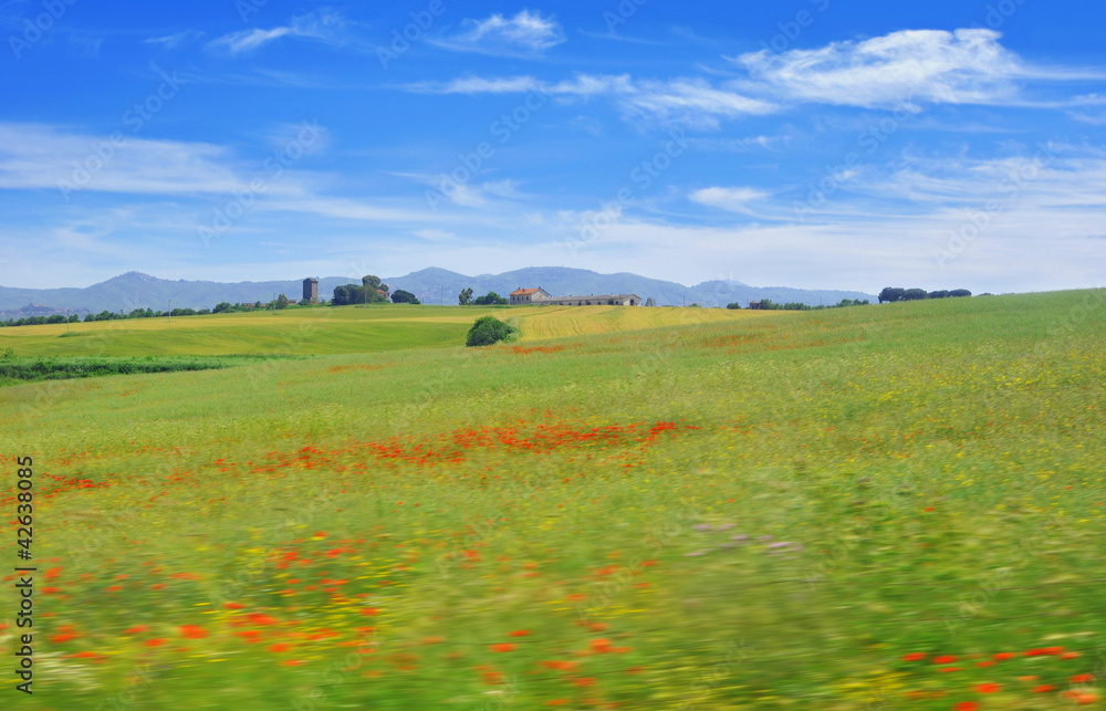 Driving through the countryside of the Tuscany region in Italy
