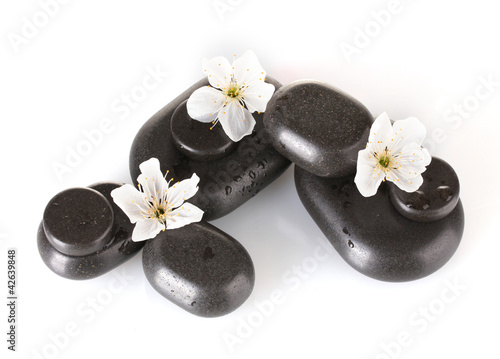 Black spa stones with flowers and petals isolated