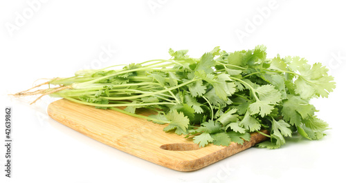 fresh coriander or cilantro on wooden board isolated on white