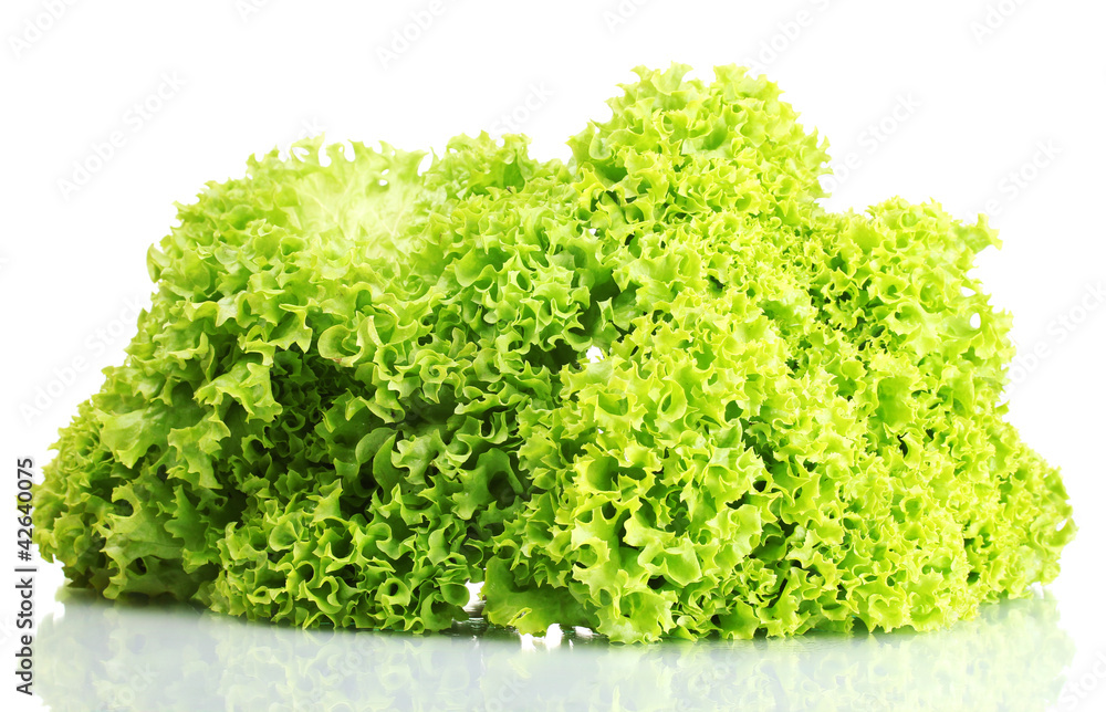fresh lettuce isolated on white fresh lettuce isolated on white