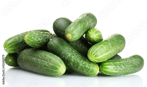 fresh cucumbers isolated on white photo