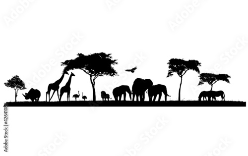 safari zwierzęta dzikie zwierzęta w Afryce