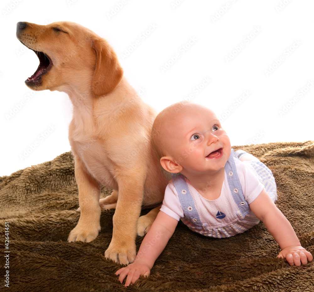 bébé de 7 mois et son chiot labrador Stock Photo | Adobe Stock