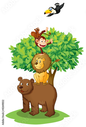 animals under tree