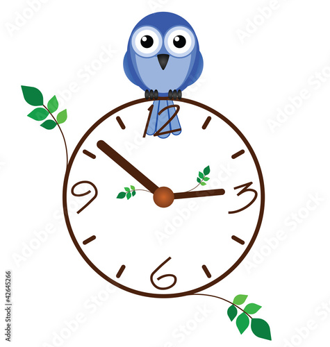 Twig clock and bird