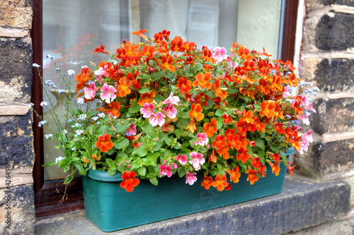Tableau sur toile Window box at an old English house.