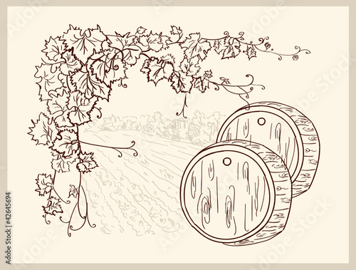 Hand drawn vineyard