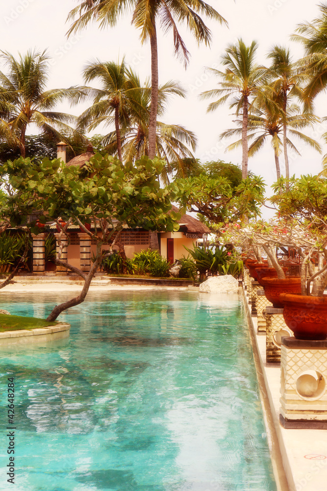 Fototapeta premium Palm trees near pool in tropics