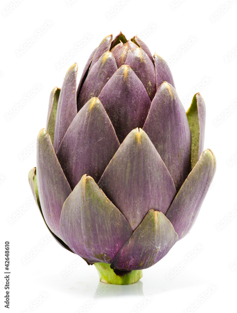 Fototapeta premium Artichoke Fruit on White