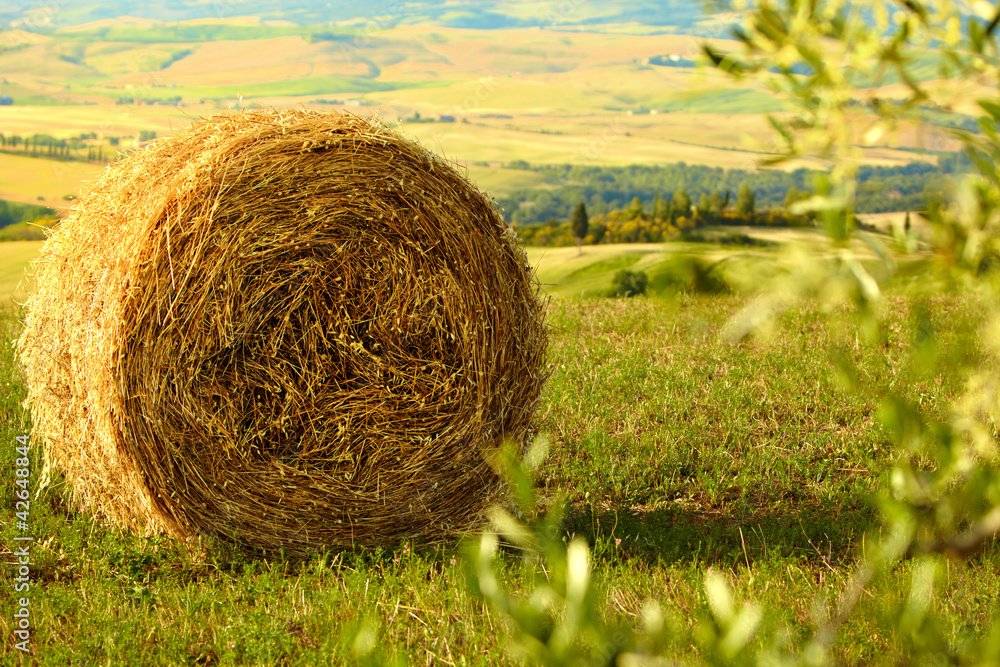 Tuscany Landscape With Hay Bales Tuscany Landscape With Hay Bales