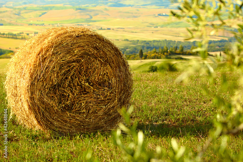 Tuscany Landscape With Hay Bales