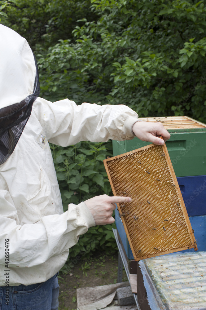 Imker mit Bienen Imker mit Bienen