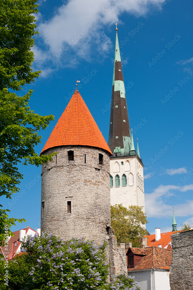 View on the Old City of Tallin