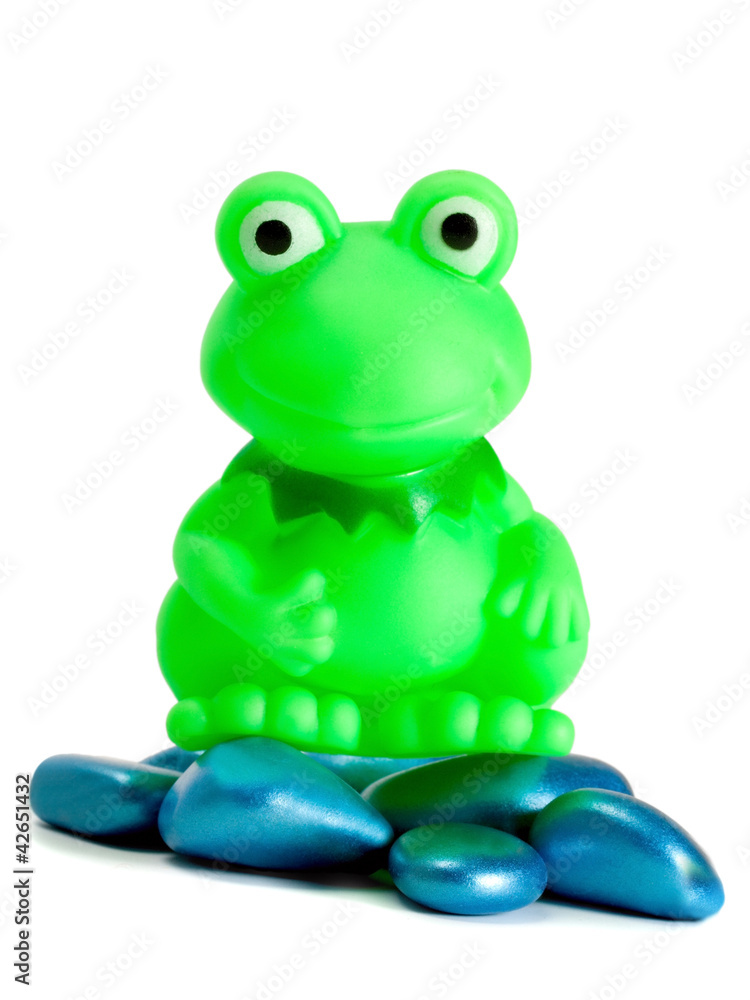 Frog toy Frog toy