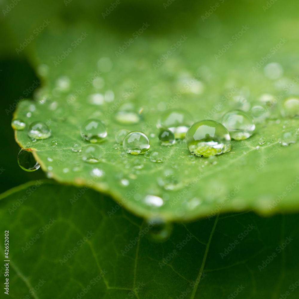 Raindrop Plateau Raindrop Plateau