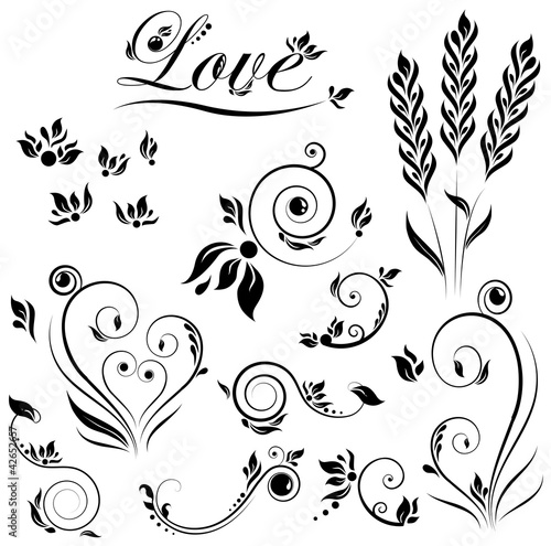 the vector set of flower and leaves and love