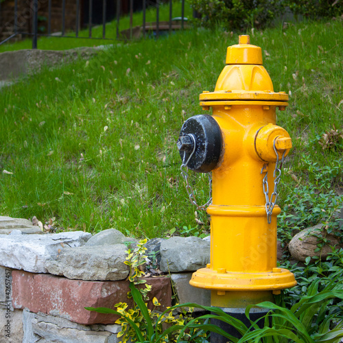 Yellow Fire Hydrant on garden wall in Toronto Neighborhood photo