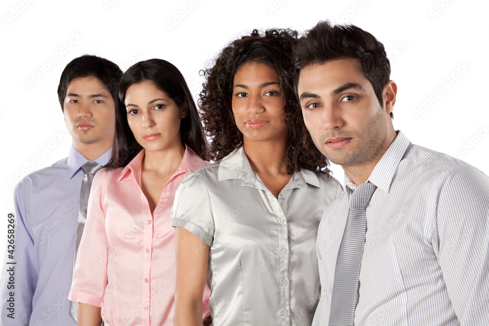 Multiethnic Group of Businesspeople Multiethnic Group of Businesspeople