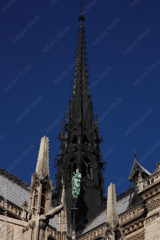 Fototapeta premium Flèche de la cathédrale Notre-Dame de Paris