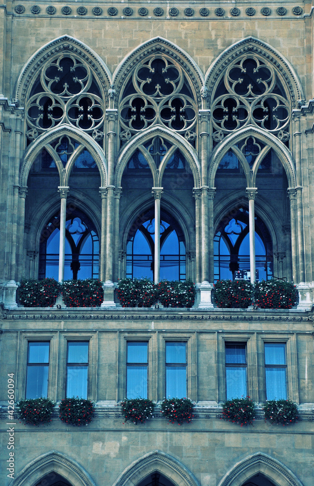 gothic cathedral window(Vienna)