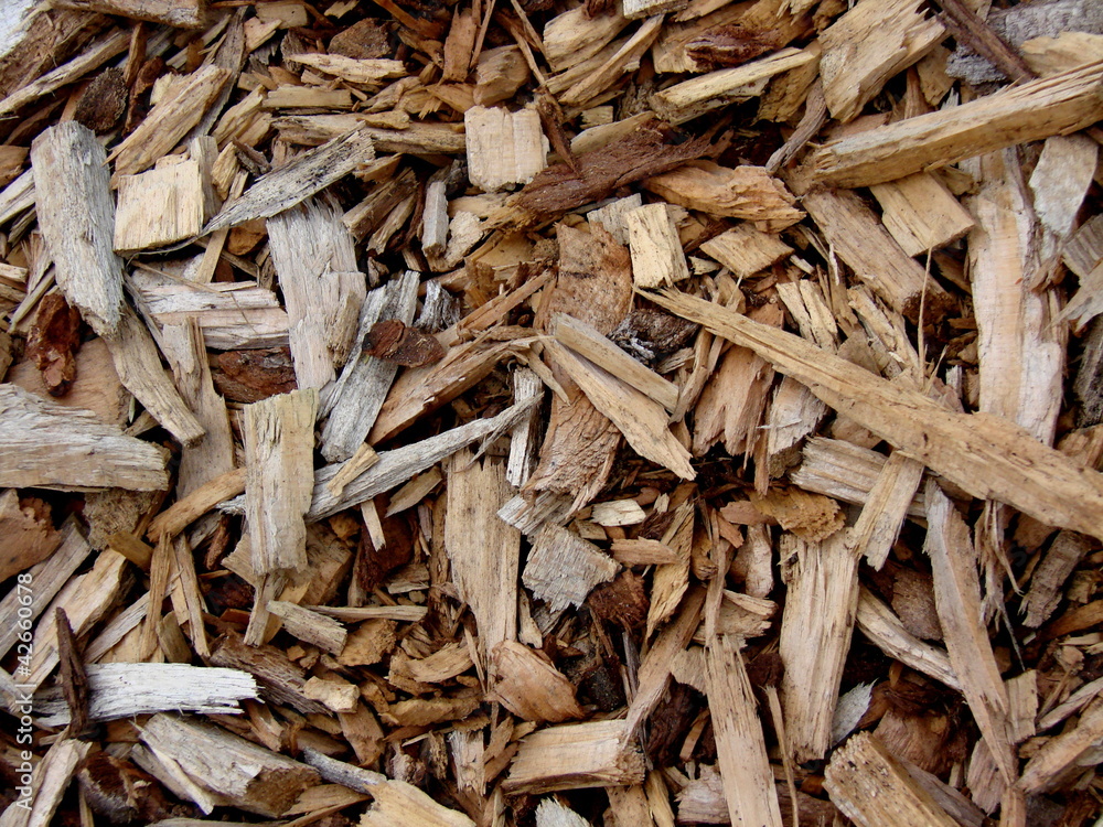 Muster Holz Split
