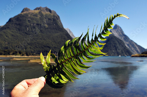 New Zealand Fiordland photo