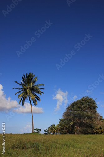 Guyane - Les Salines