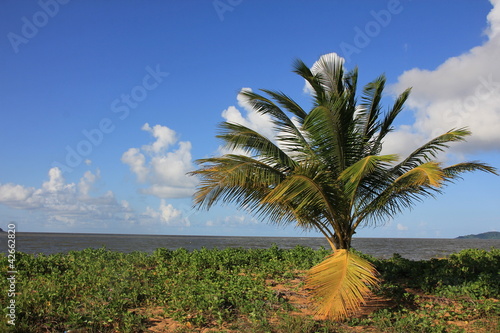 Guyane - Les Salines