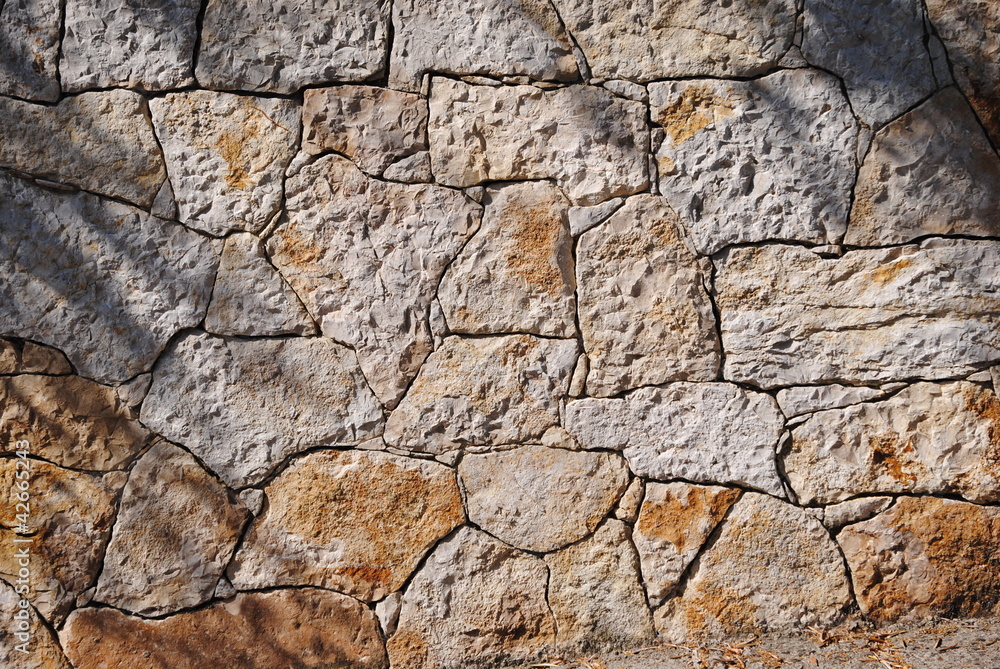 fond & texture fond & texture