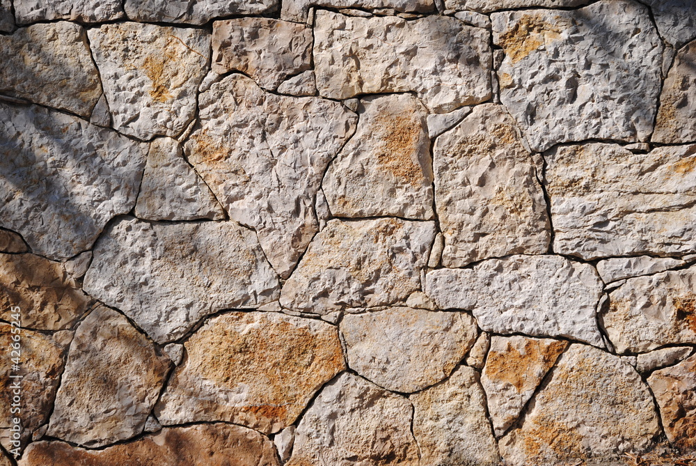 fond & texture fond & texture