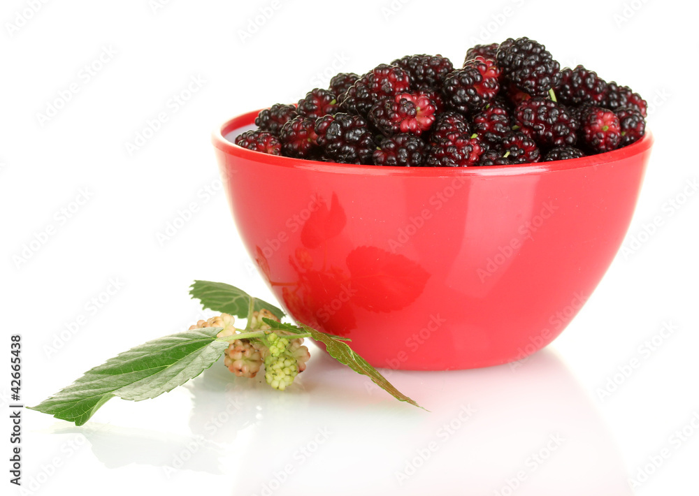 Red bowl with ripe mulberries isolated on white close-up Red bowl with ripe mulberries isolated on white close-up
