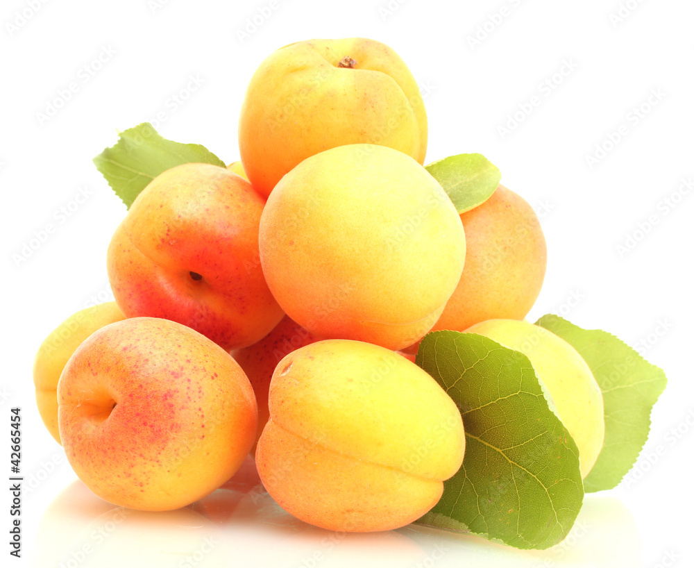 ripe apricots with green leaves isolated on white ripe apricots with green leaves isolated on white