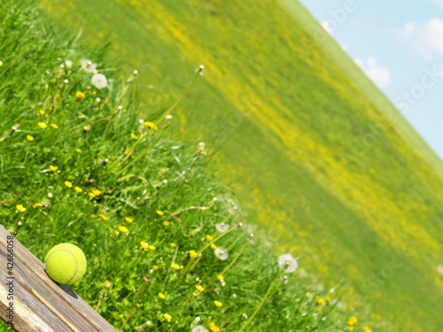 tennis ball und Wiese 41 photo