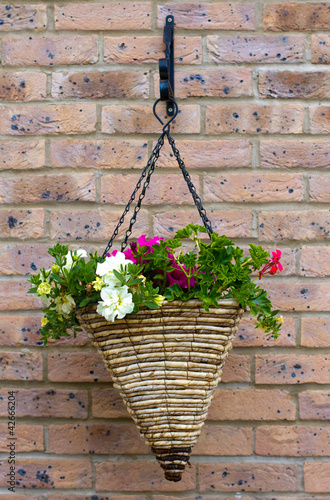 basket